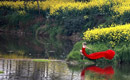 Top ten spring scenes for photography in Chengdu