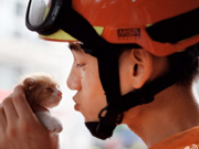 Heart-melting moment：Fireman comes to kitten’s rescue