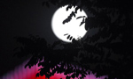Moon of Mid-autumn Festival