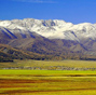 Picturesque Barkol grassland in Xinjiang
