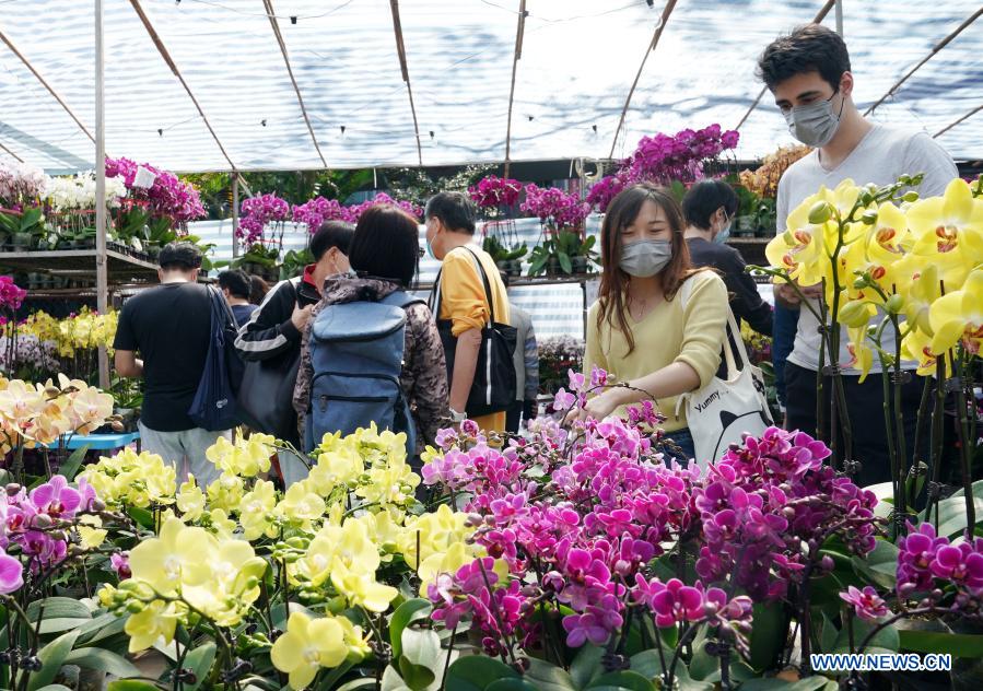 Customers visit a Lunar New Year flower market at Victoria Park in Hong Kong, south China, Feb. 6, 2021. Hong Kong has scaled down its Lunar New Year flower trade amid the COVID-19 pandemic, only opening 15 designated flower markets for customers under epidemic prevention regulations. (Xinhua/Li Gang)