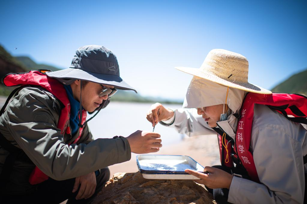Li Ludan (R) and Liu Han, members of a scientific expedition team, conduct benthonic animal samples from Zaqu River in the headwater region of the Lancang River in northwest China's Qinghai Province, July 24, 2022. Chinese scientists launched an expedition on Sunday in the headwater regions of the Yangtze and Lancang rivers in northwest China's Qinghai Province, to investigate the regions' water resources and ecological environment.The expedition will conduct scientific investigations into the water resources, river hydrology, water ecology, glaciers, soil erosion and permafrost of the regions, among other things, according to the Changjiang River Scientific Research Institute (CRSRI) of the Changjiang Water Resources Commission, which is leading the expedition. (Xinhua/Xiao Yijiu)