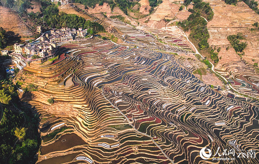 Spring farming gets going on SW China's Yunnan rice terraces