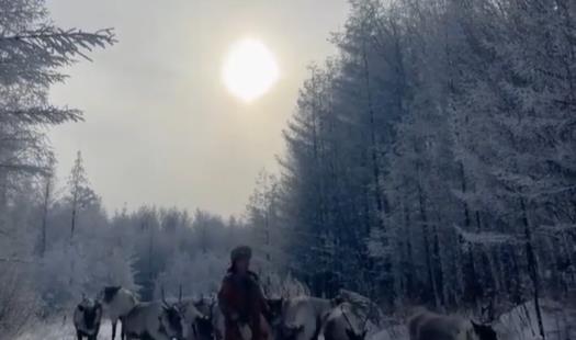 Reindeer herders of Inner Mongolia
