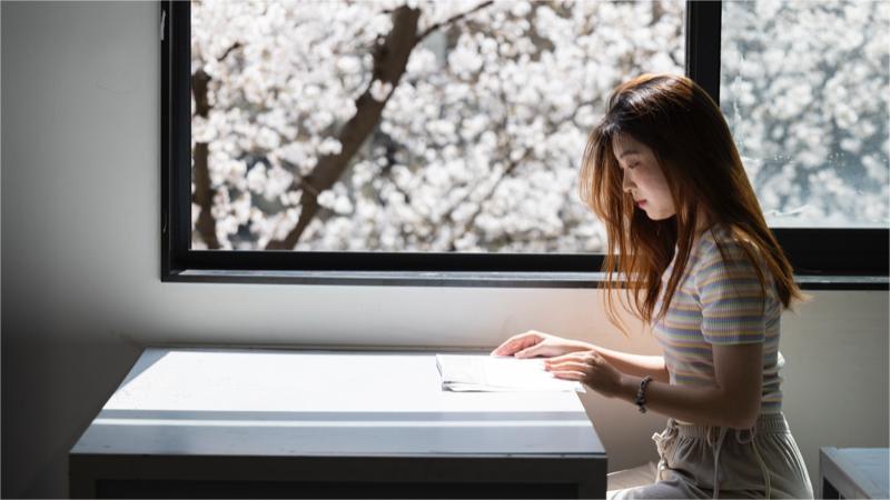 University classroom with view of cherry blossoms turns into dyeing workshop