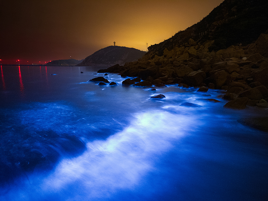 Luminous waves captivate visitors in SE China's Fujian