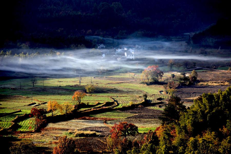 Photo taken on Nov. 5, 2012 shows the scenery of advection fog over Tachuan Village of Yi County in Huangshan City, east China's Anhui Province. (Xinhua/Shi Guangde)