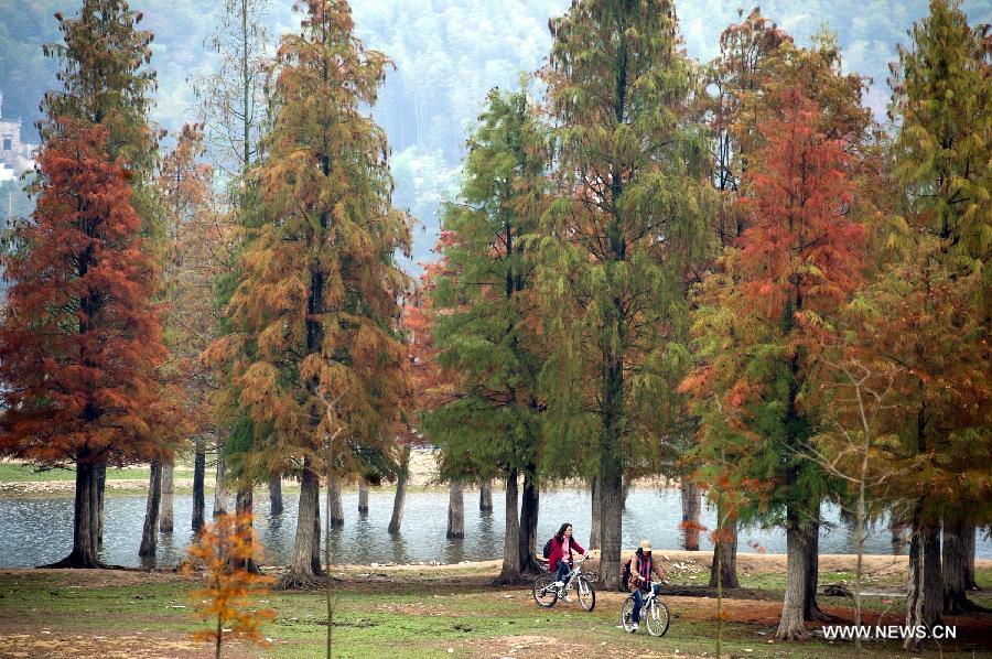 Two tourists ride bicycles at the Hong Village near Huangshan Mountain, east China's Anhui Province, Nov. 10, 2012. The beautiful scenery of Huangshan Mountain in the early winter has attracted many tourists. (Xinhua/Guo Chen) 