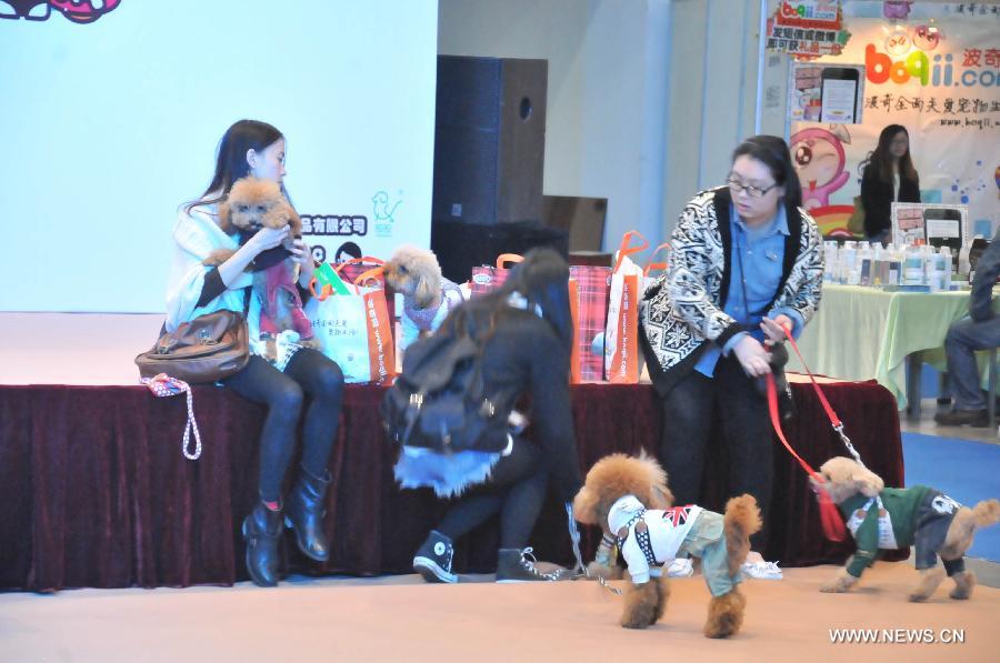 Pet owners bring in their pets to take part in a funny competition during the 2012 China(Hangzhou) Pets Cultural Festival in Hangzhou, capital of east China's Zhejiang Province, Nov. 16, 2012. The three-day festival opened here on Friday. (Xinhua/Zhu Yinwei) 