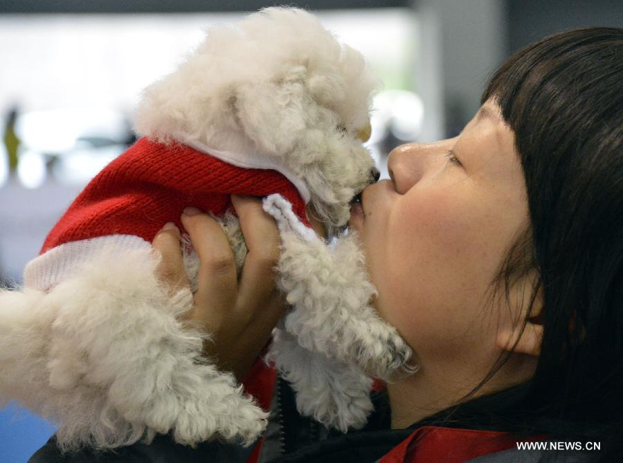 A pet owner kisses her pet at the 2012 China(Hangzhou) Pets Cultural Festival in Hangzhou, capital of east China's Zhejiang Province, Nov. 16, 2012. The three-day festival opened here on Friday. (Xinhua/Shi Jianxue) 