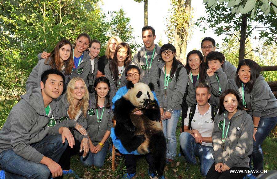 Contestants of "global search for Chengdu Pambassador 2012" pose for a group photo with a giant panda in Chengdu, capital of southwest China's Sichuan Province, Oct. 31, 2012. French contestant Jerome Serge Pouille, Chinese contestant Chen Yinrong and American contestant Melissa Rose Katz, the top three winners from the final, will serve as the Chengdu Pambassador for a year. They will train at the Chengdu Research Base of Giant Panda Breeding before travelling around the world to all the countries and regions that have giant pandas. The global initiative is aimed to raise the awareness about the protection of the giant panda, a high endangered species, and their habitats. (Xinhua/Jiang Hongjing) 