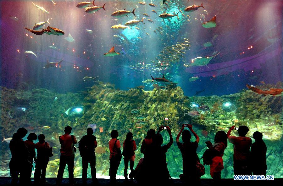 Tourists watch fish in the Ocean Park in Hong Kong, south China, May 29, 2012. The Hong Kong Ocean Park was awarded as the world best theme park recently.(Xinhua/Chen Xiaowei)