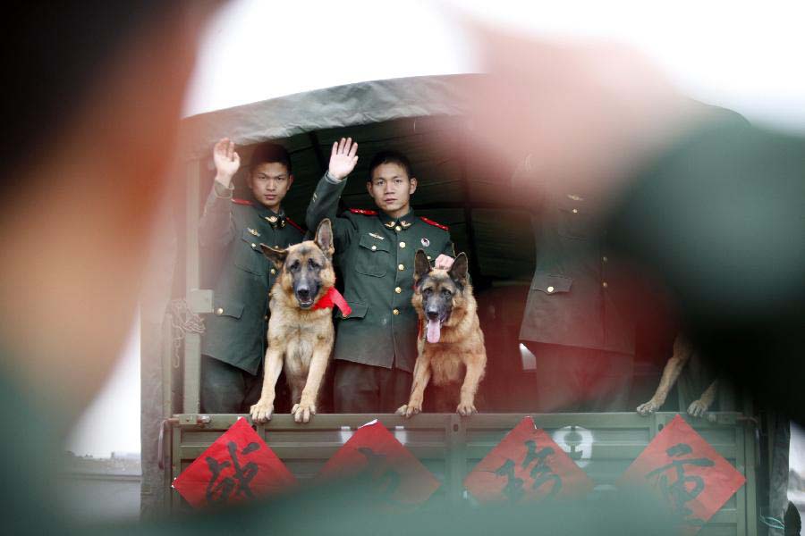 Police dog handlers wave farewell to their dogs which have completed military service in Jiangsu Armed Police Corps in Nanjing, capital of east China's Jiangsu Province, Nov. 23, 2012. Five police dogs have to leave the corps as their term of military service is due. (Xinhua/Li Ke)