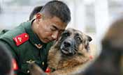 Police dogs retire from military service in E China 