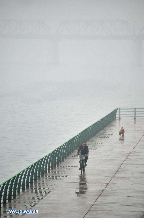 A citizen rides a bike in the fog-shrouded Liuzhou City, southwest China's Guangxi Zhuang Autonomous Region, Nov. 25, 2012. (Xinhua/Li Hanchi) 