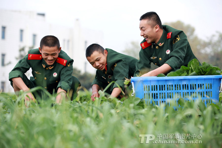 The veterans of the Guizhou Contingent of the Chinese People's Armed Police Force (APF) are going to be discharged from active service and leave the barrack. 