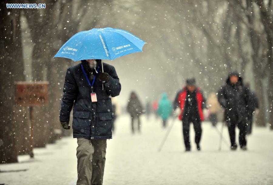 Pedestrians walk in snow at the Tiantan Park in Beijing, capital of China, Dec. 12, 2012. A snow hit China's capital city on Wednesday. (Xinhua/Li Wen) 
