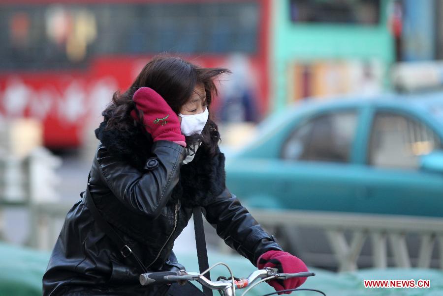 A woman rides a bike against the wind in Qinhuangdao, north China's Hebei Province, Dec. 23, 2012. A severe cold wave is sweeping most parts of China, with temperatures dropping by around 10 degrees Celsius in some areas. The local meteorological authority issued a blue alert for the cold wave on Sunday. (Xinhua/Wang Hanzhi) 