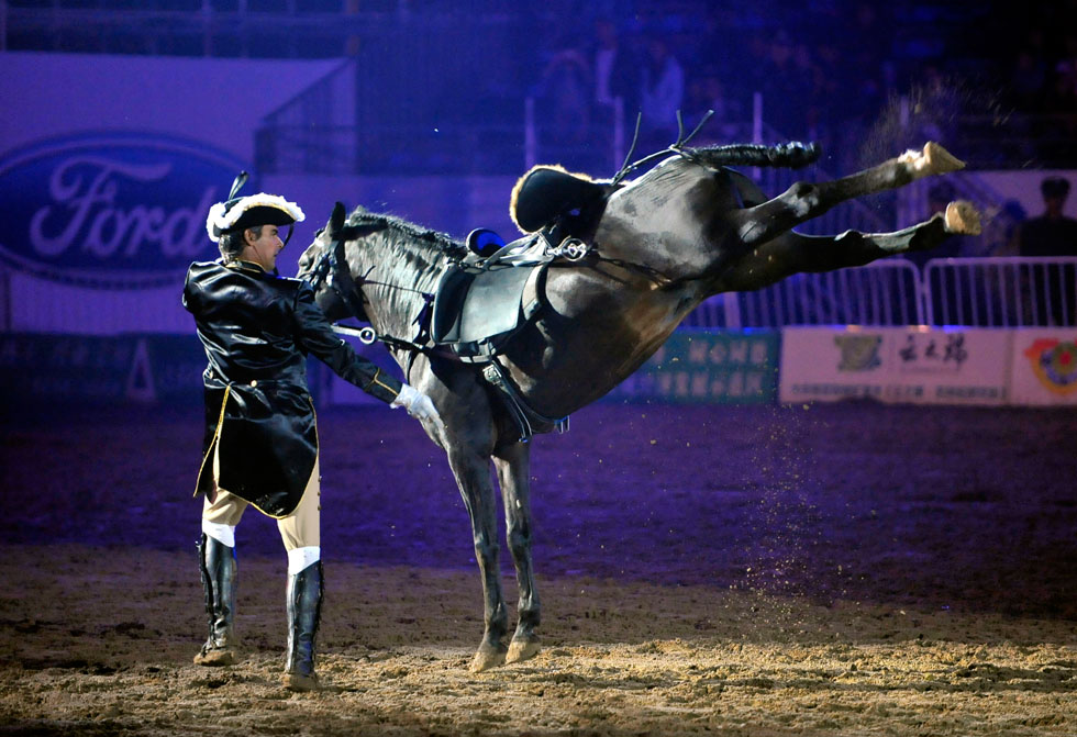 A professional rider wows the audience with his excellent performance during the opening ceremony of the Second Annual Ordos Dalate International Horse Cultural Festival on Aug. 25, 2012. (Photo/Xinhua) 