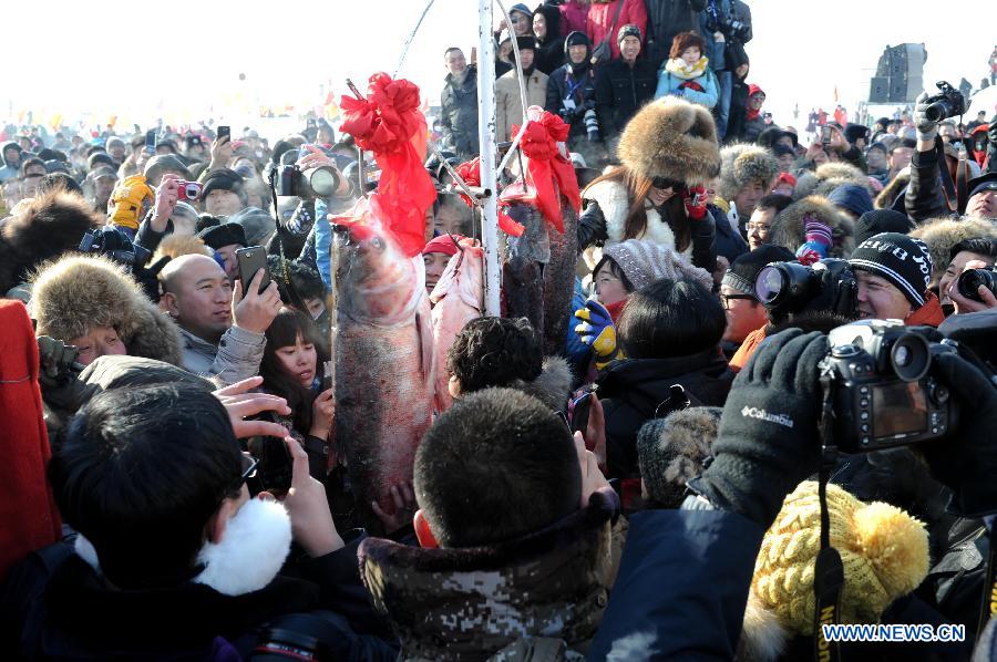 Tourists take photos of the first batch of fish that local fishermen caught during an ice fishing event in the Chagan Lake in Qian Gorlos Mongolian Autonomous County, northeast China's Jilin Province, Dec. 27, 2012. (Xinhua/Ma Caoran)