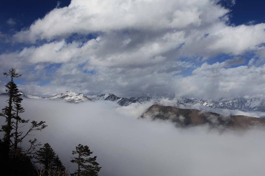 Photo taken on Nov. 16, 2010 shows a scenery of the Tiepi Mountain with an altitude of 3,800 meters, in Baoxing County of Ya'an, southwest China's Sichuan Province. (Xinhua/Guo Wenyao) 