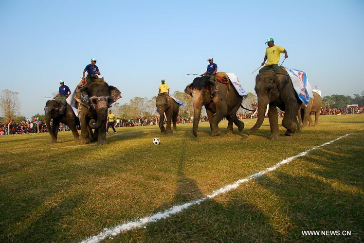 Participants ride elephants during the 9th International Elephant Festival in Sauraha of Chitwan district, Nepal, Dec. 26, 2012. The festival was organized to promote the tourism and to make awareness of elephant conservation in Nepal. (Xinhua/Sunil Pradhan)