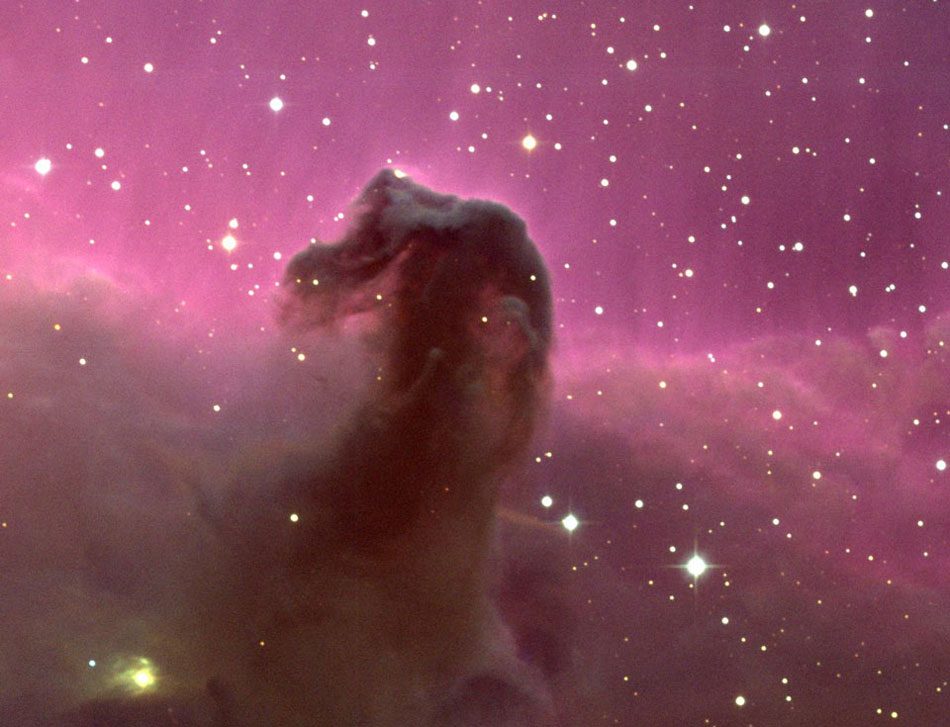 The Horsehead Nebula. One of the most identifiable nebulae in the sky, the Horsehead Nebula in Orion, is part of a large, dark, molecular cloud. Also known as Barnard 33, the unusual shape was first discovered on a photographic plate in the late 1800s. (Photo/ NASA)