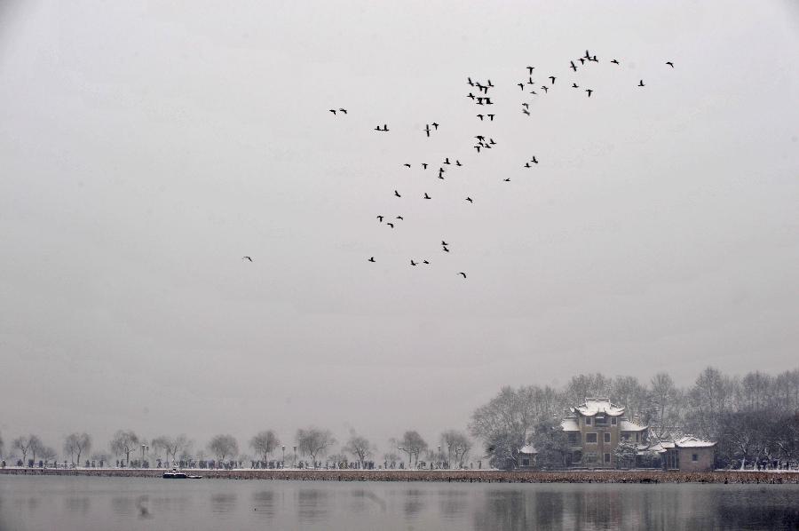 A flock of birds fly over the West Lake in Hangzhou, capital of east China's Zhejiang Province, Jan. 4, 2013. Citizens and tourists enjoyed the snow-covered landscape of West Lake here on Friday after northern and central Zhejiang received continuous snowfall since this Thursday. (Xinhua/Huang Zongzhi) 