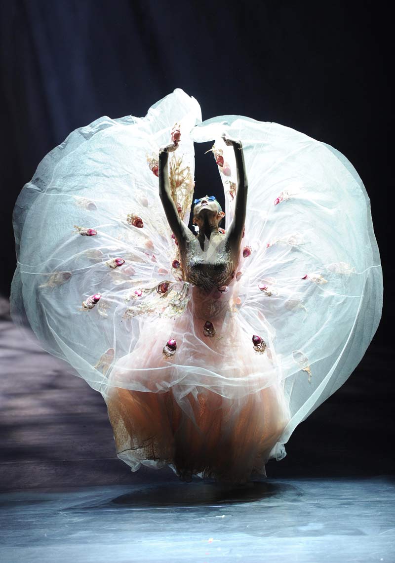 The famous dancer Yang Liping performs dance drama "peacock"" in the National Grand Theater in Beijing on Oct. 24, 2012. It could be her last performance on the stage. In an interview in August, Yang said she may no longer continue to dance; instead, she would focus on choreographer. (Xinhua)