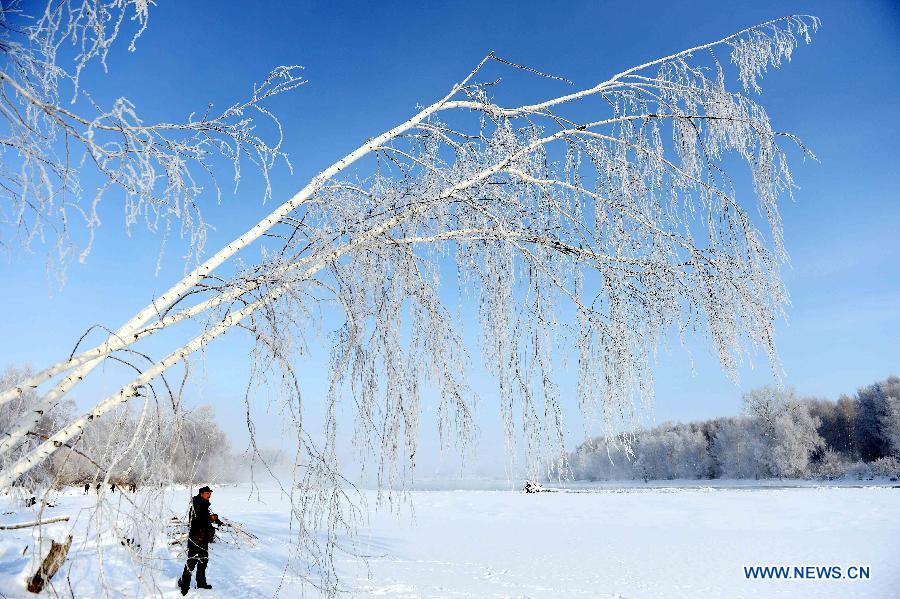 Photo taken on Jan. 10, 2013 shows rime scenery in Chonghu'er Township of Burqin County, northwest China's Xinjiang Uygur Autonomous Region. (Xinhua/Sadat)