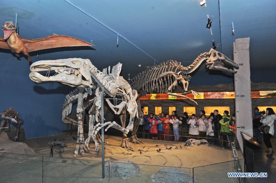 Children look at the fossils of dinosaurs at the science experience hall for youths in the Heilongjiang Museum in Harbin, capital of northeast China's Heilongjiang Province, Jan. 15, 2013. As winter holiday begins in Harbin, children can visit the hall for free and take part in scientific lectures held by the museum. (Xinhua/Wang Song)
