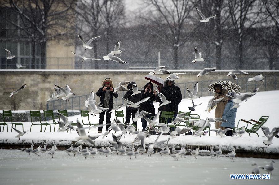 Touritsts take photos at the Tulerie Garden in Paris, capital of France, Jan. 20, 2013. Heavy snowfall hit most parts of France since Jan. 18, affecting its traffic and power supply. (Xinhua/Etienne Laurent) 