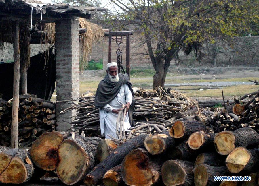 A man works at firewood store in northwest Pakistan's Peshawar on Jan. 27, 2013. (Xinhua/Ahmad Sidique)