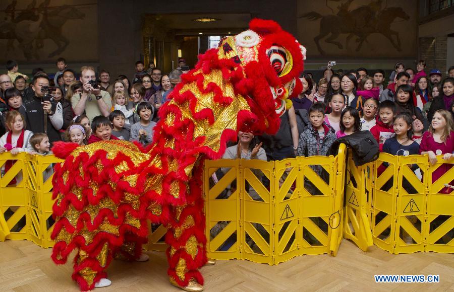 Visitors watch lion dance performance during the Chinese Cultural Heritage Day event at the Royal Ontario Museum in Toronto, Canada, Feb. 2, 2013. One of the most prominent museums in the Canadian city of Toronto was transformed into a galore of Chinese artistry on Saturday, presenting a live snake display, an ethnic costume display and a diverse array of Chinese-themed performances. (Xinhua/Zou Zheng)
