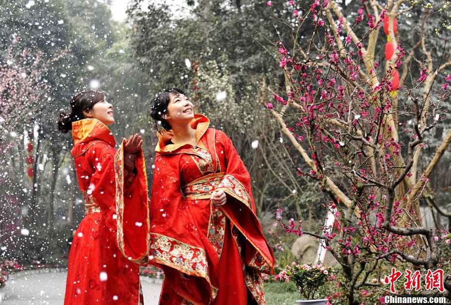 Visitors wearing traditional Chinese garments enjoy blooming plum blossoms at Du Fu Thatched Cottage in Chengdu, capital city of southwest China's Sichuan province on Feb. 2, 2012. (CNSPHOTO/ An Yuan)