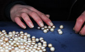Pearl your beauty: pearl production in Zhuji
