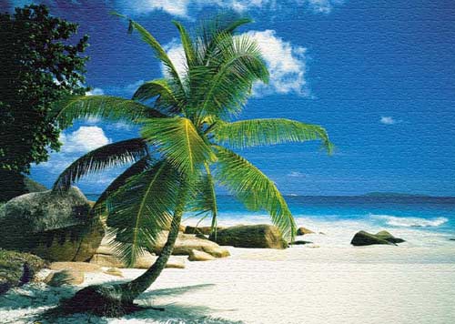La Digue - Seychelles (Source:news.xinhuanet.com)