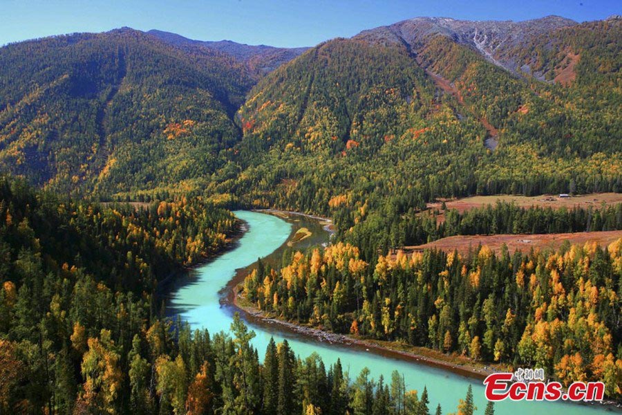The coniferous forest located in Kanas of Northwestern Xinjiang Uygur Autonomous Region won the ninth place of the China's Most Beautiful Forests list, released by the Forest and Humankind magazine recently. (CNS/Liu Xin)
