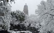 Snowstorm hits China's Jiangsu, blue alert issued