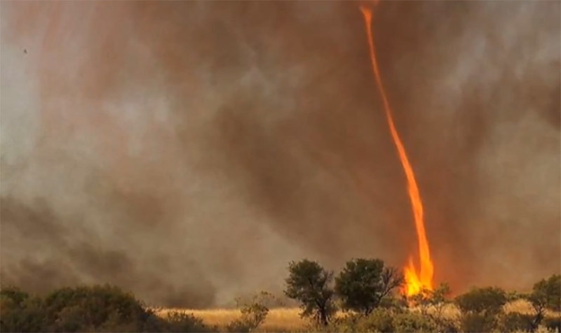 Fire whirl. The fire whirl is a tornado usually caused in a wildfire. It can be powerful enough to destroy the roots of the trees. (Photo/Global Time)