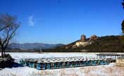 Amazing Summer Palace in winter 