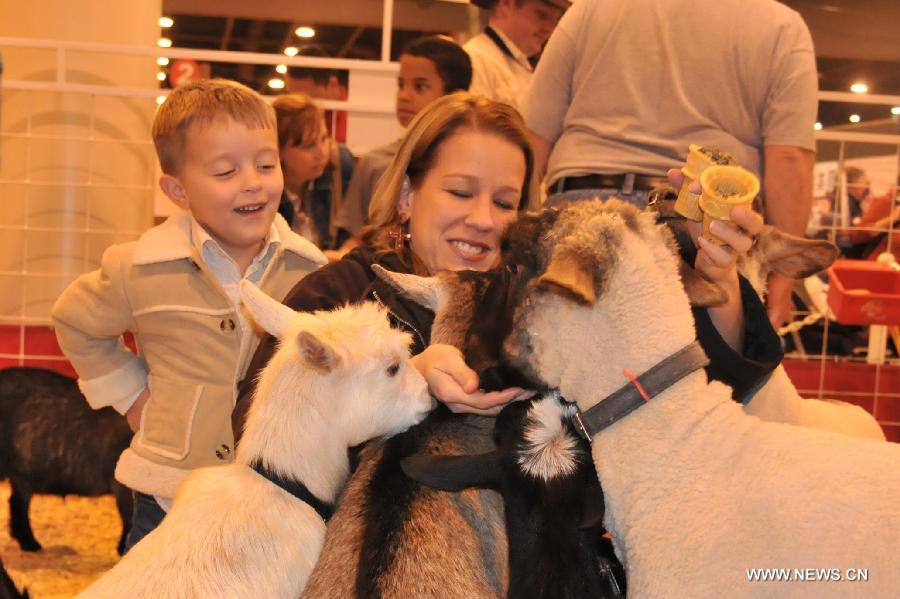 A mother feeds sheep at the 2013 Houston Livestock Show and Rodeo in Houston, the United States, Feb. 25, 2013. The 2013 Houston Livestock Show and Rodeo kicked off on Monday and runs through March 18. It is the world's largest livestock exhibition and the largest Rodeo event and expected to draw over 2 million visitors. (Xinhua/Zhao Xiaoqing)  