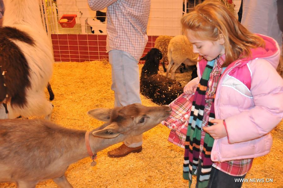 A girl plays with a deer at the 2013 Houston Livestock Show and Rodeo in Houston, the United States, Feb. 25, 2013. The 2013 Houston Livestock Show and Rodeo kicked off on Monday and runs through March 18. It is the world's largest livestock exhibition and the largest Rodeo event and expected to draw over 2 million visitors. (Xinhua/Zhao Xiaoqing)  