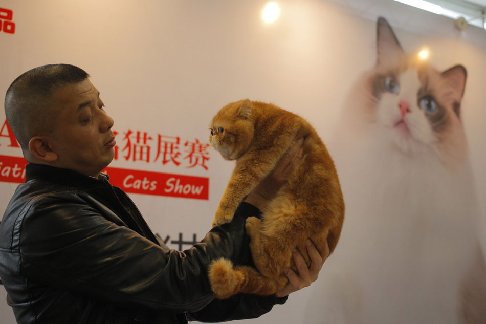 Pets with hilarious expressions attract visitors to Shanghai Pet Fair (4)
