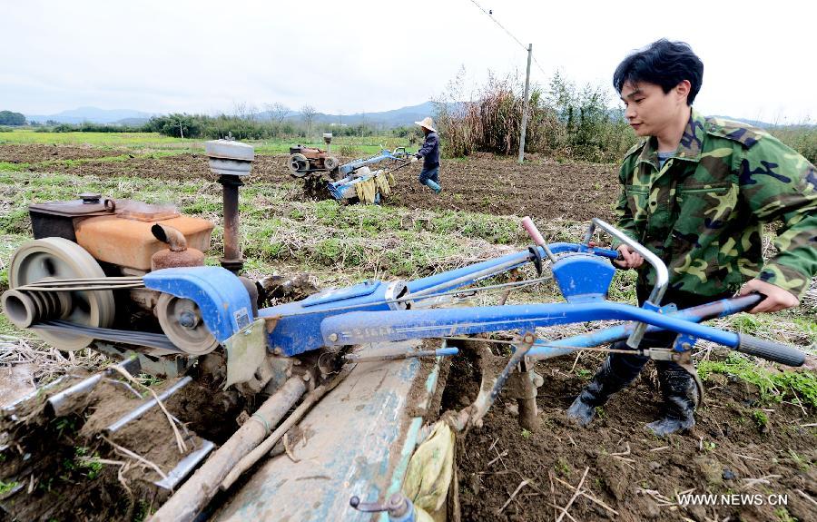 Farmer Wu Shiwen loosens the soil for spring sowing in Jianyang City of east China's Fujian Province, March 2, 2013. (Xinhua/Zhang Guojun)