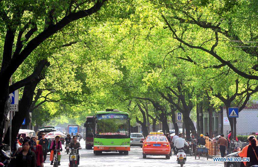 People and vehicles pass on Jianzheng Road sided with budding green trees in Nanning, capital of south China's Guangxi Zhuang Autonomous Region, March 11, 2013.(Xinhua/Huang Xiaobang) 
