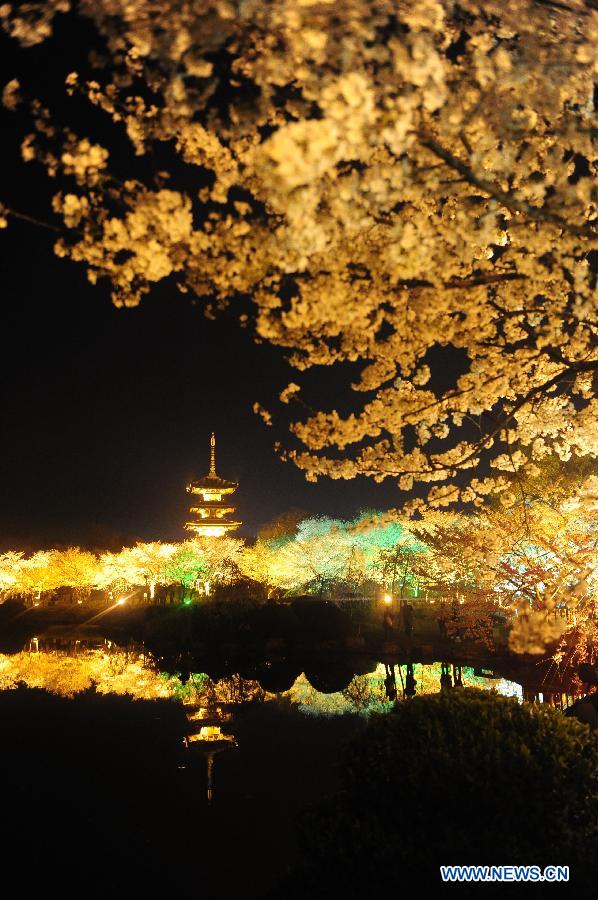 Photo taken on March 18, 2013 shows the night view of the Moshan Hill Scenic Spot with illuminated cherry trees, in Wuhan, capital of central China's Hubei Province. (Xinhua/Hao Tongqian)