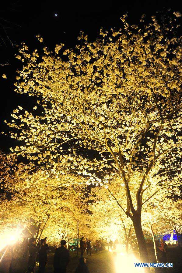 Photo taken on March 18, 2013 shows the night view of the Moshan Hill Scenic Spot with illuminated cherry trees, in Wuhan, capital of central China's Hubei Province. (Xinhua/Hao Tongqian)