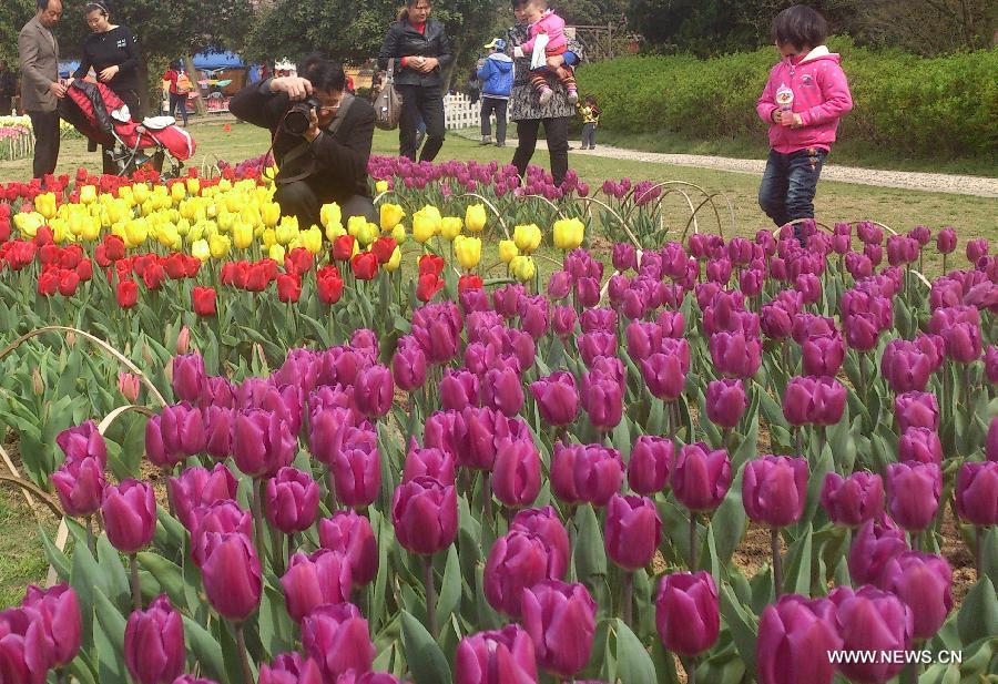 Visitors view tulip flowers in Wuxi City, east China's Jiangsu Province, March 30, 2013. (Xinhua/Luo Jun) 