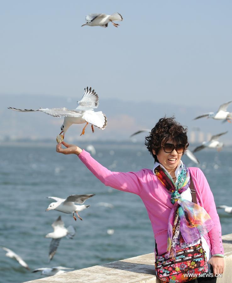 A visitor poses for photo with black-headed gulls by the Haigeng Dam in Kunming, capital of southwest China's Yunnan Province, April 4, 2013, the first day of the three-day Qingming Festival holidays. (Xinhua/Qin Lang)